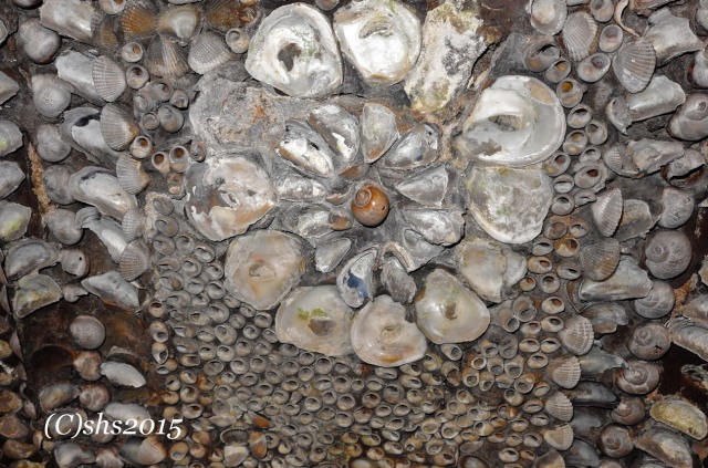 A detail of one of the many flower shells decorating the Grotto.